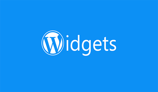 WordPress Widget la gi duoc the hien nhu the nao