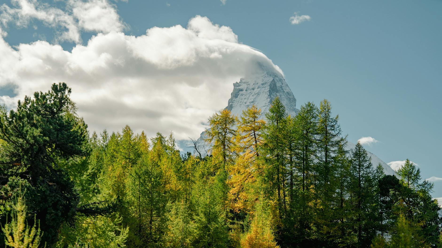 WordPress cho Blogger: Cẩm Nang Xây Dựng Blog Thành Công Từ A-Z