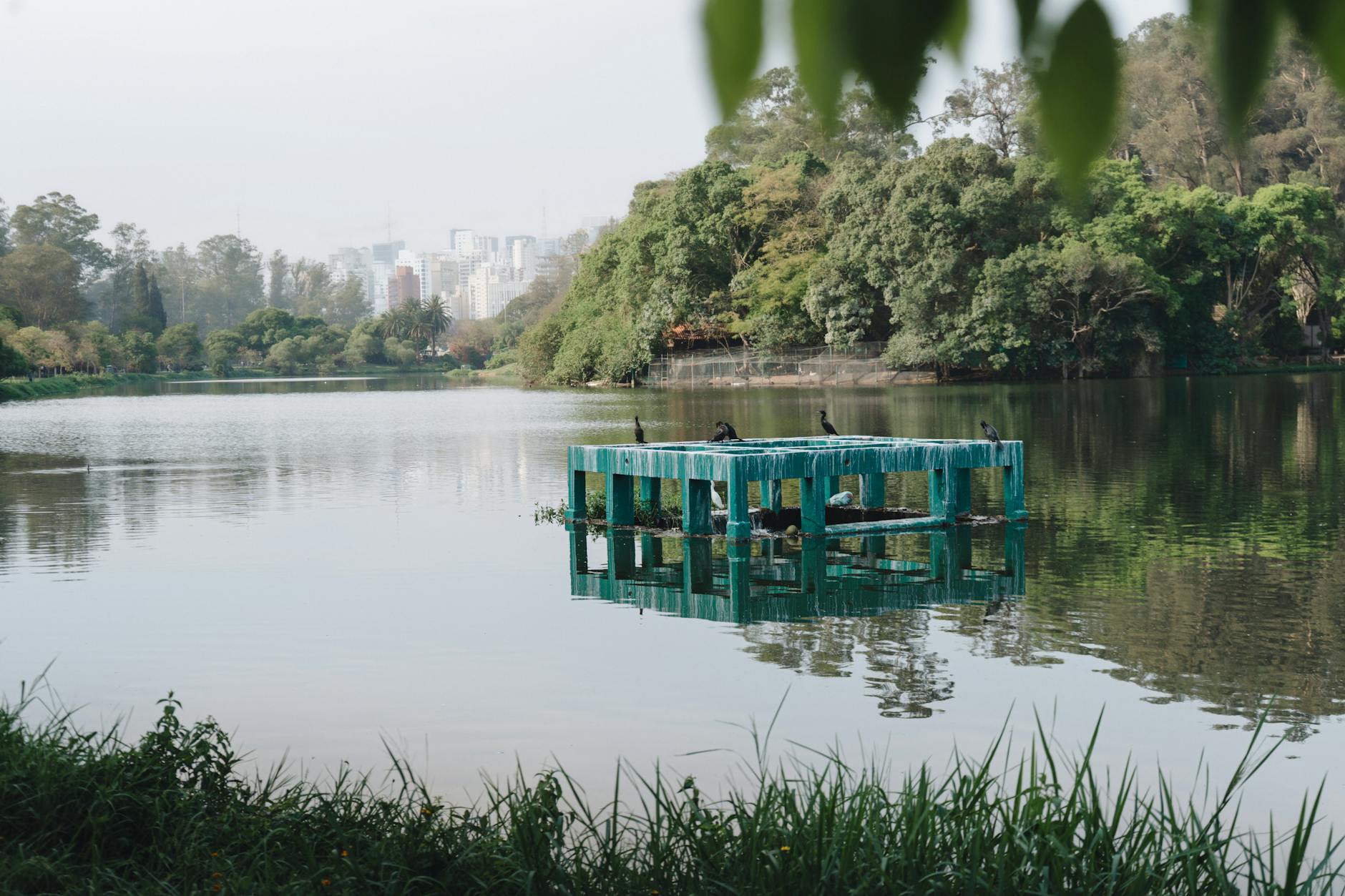 Lựa Chọn Nền Tảng Affiliate Phù Hợp: Bước Đầu Quan Trọng