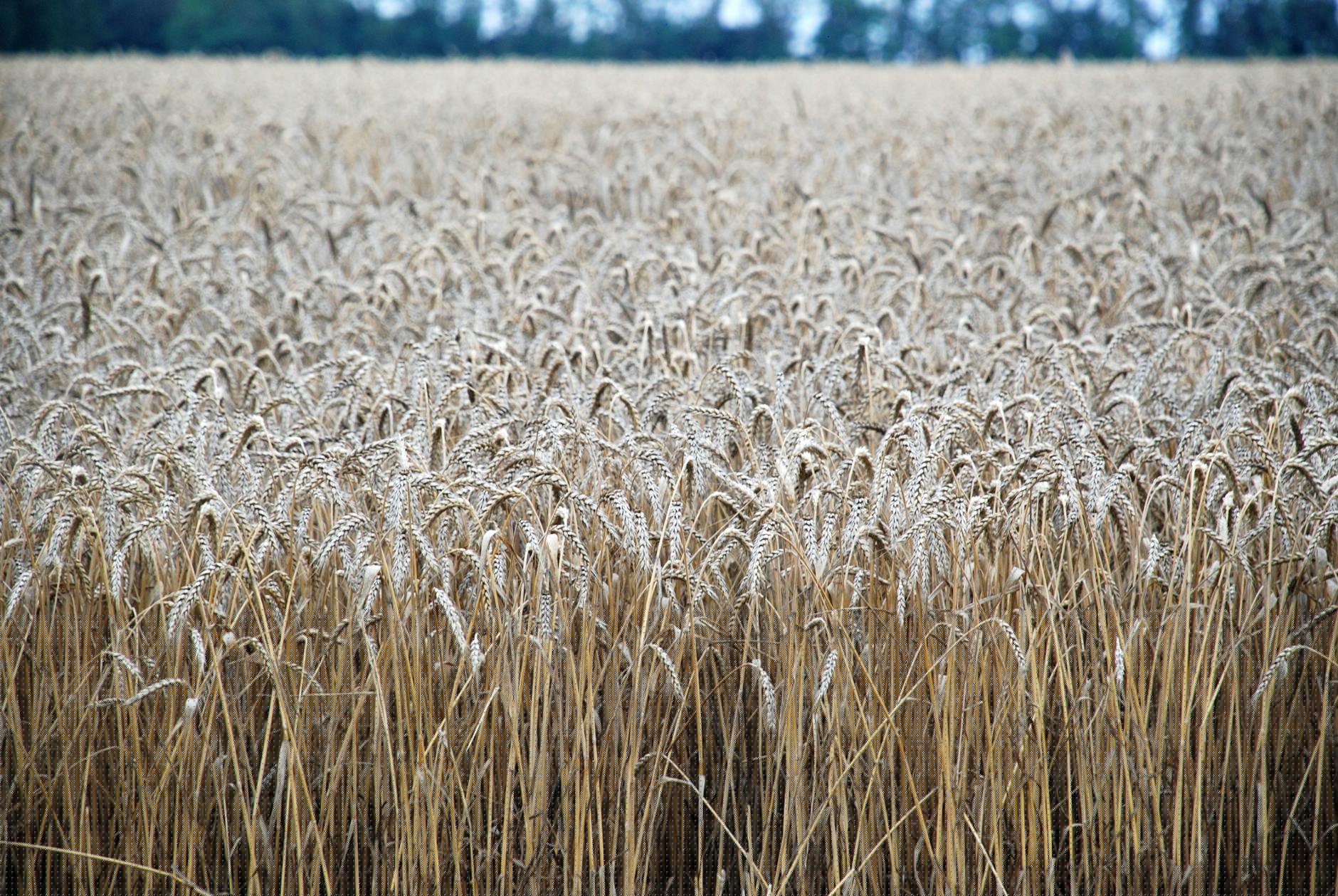 So Sánh Camera Hành Trình Xiaomi 70mai và Vietmap: Nên Chọn Loại Nào Cho Xe Với Ngân Sách Dưới 1.500.000 VNĐ?